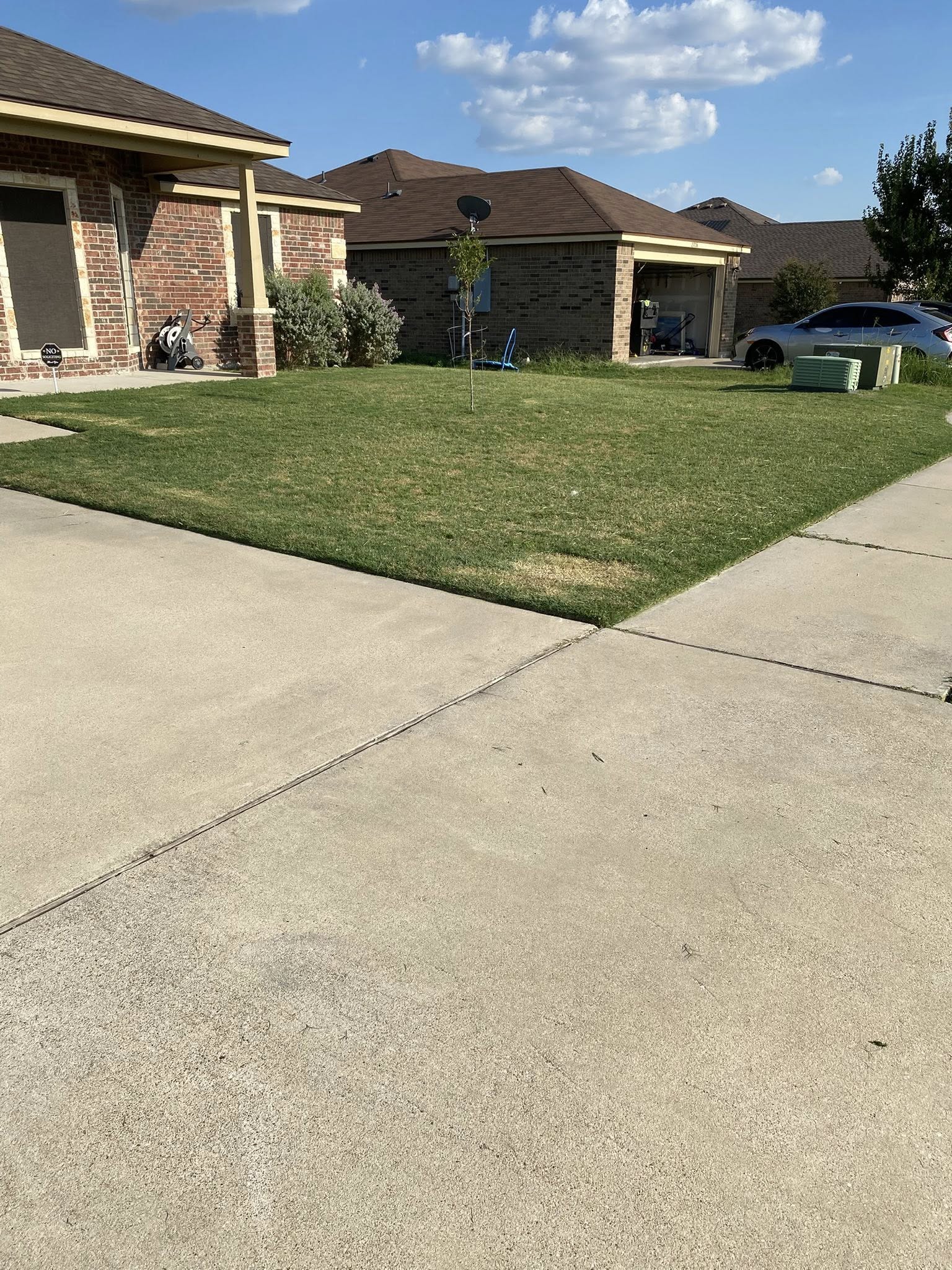 Professional lawn care results